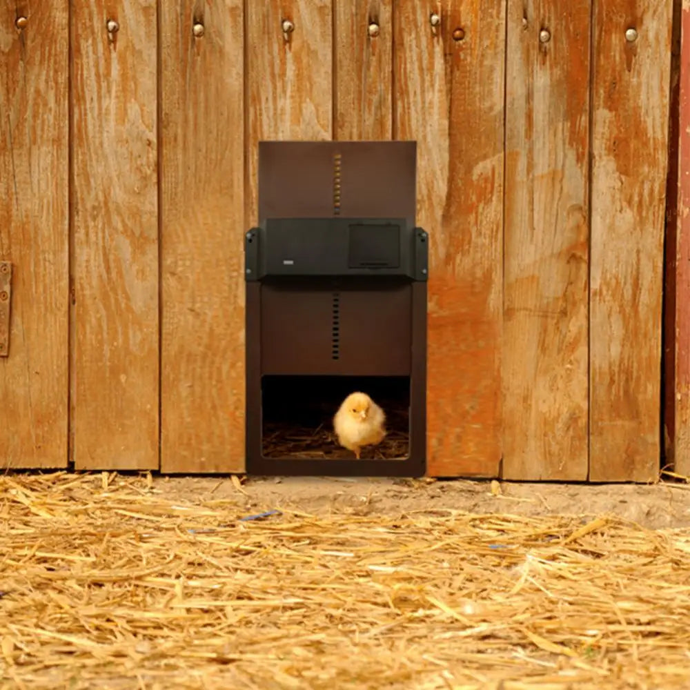 High-Quality Automatic Chicken Coop Door with Light Sensor for Chicken and Duck Cages - Image 7