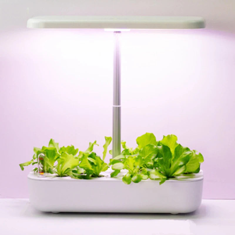 Hydroponics Growing System 12 Pods Indoor Herb Garden Kit Automatic Timing LED Grow Lights Smart Water Pump for Home Flower Pots - Image 3